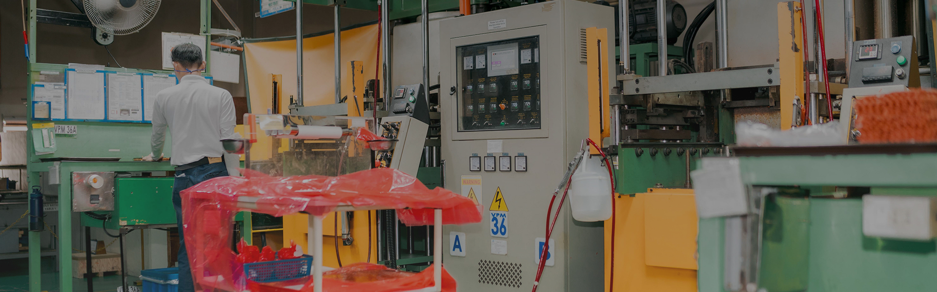 unsplash_MP0bgaS_d1c